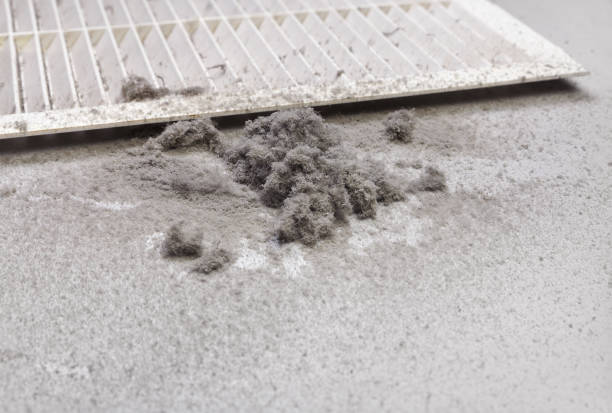 Best Best Air Duct Cleaning Near Me  in Faison, NC