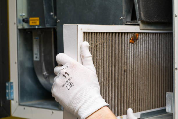 Best Professional Duct Cleaning Services  in Faison, NC