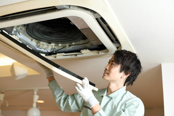 Best Local Air Duct Cleaning Services  in Faison, NC