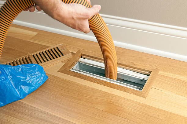 Best Affordable Duct Cleaning Services  in Faison, NC